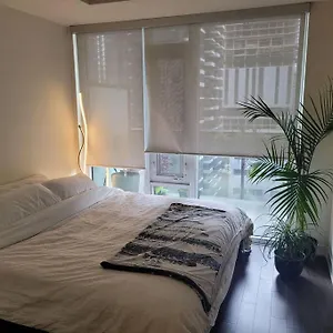 Beautiful One Bdrm Entertainment District Toronto